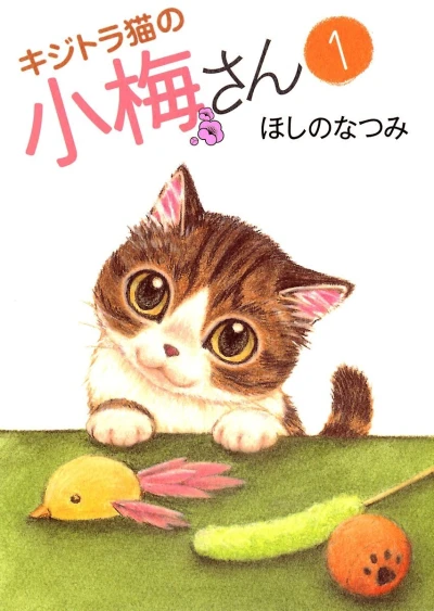 Kijitora Neko no Koume-san (2008) - Series 