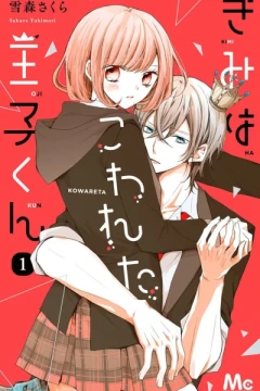 Kimi wa Kowareta Ōji-kun