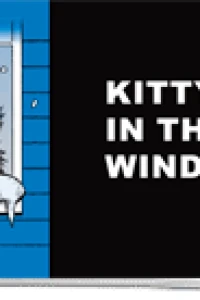 Kitty In The Window