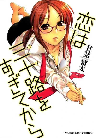 Koi wa Misoji wo Sugite Kara (2009) - Series 
