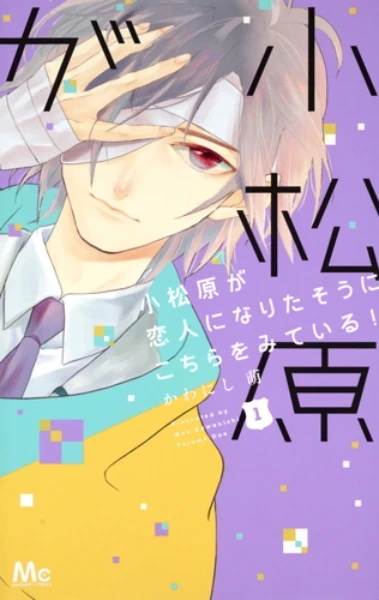Komatsubara ga Koibito ni Narita-sō ni Kochira wo Miteiru! (2017) - Series 