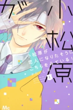 Komatsubara ga Koibito ni Narita-sō ni Kochira wo Miteiru!