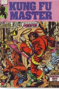 Kung Fu Master