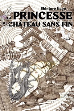 La Princesse du Château Sans Fin