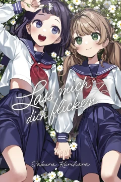 Lass Mich Dich Flicken