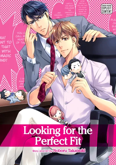 Looking for the Perfect Fit (2018) - Series 