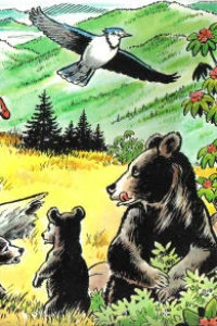 Mark Trail in the Smokies