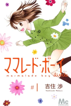 Marmalade Boy Little
