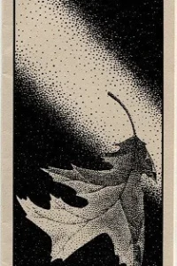 Masque