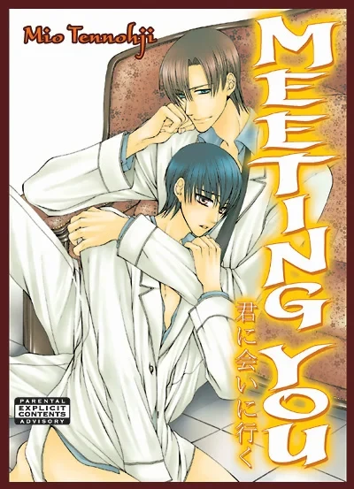 Meeting You (2008) - Series 