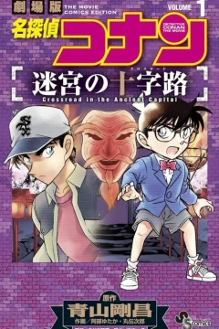 Meitantei Conan: Meikyū no Crossroad