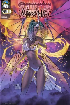 Michael Turner's Soulfire: Shadow Magic
