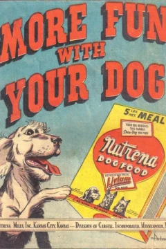 More Fun with Your Dog