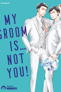 My Groom is... Not You!