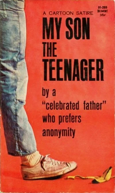 My Son the Teenager (1963) - Series 
