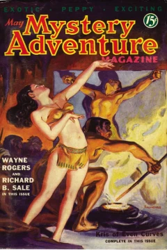 Mystery Adventure Magazine