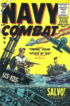 Navy Combat