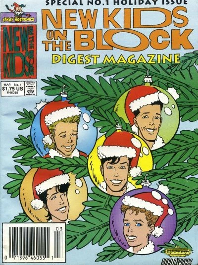 New Kids On The Block Digest Magazine (1991) - Series 