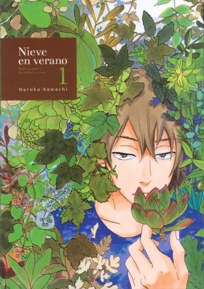 Nieve en Verano (2014) - Series 