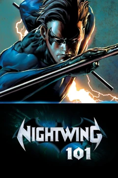 Nightwing 101