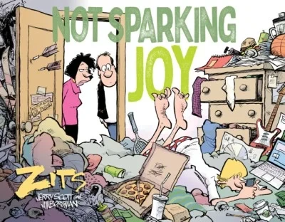 Not Sparking Joy: A Zits Treasury (Trade Paperback, 2019) - Series 