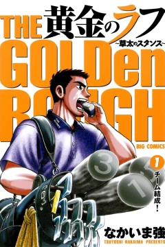 Ōgon no Rough: Sōta no Stance