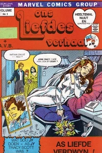 Ons Liefdes Verhaal