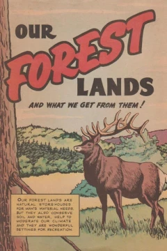 Our Forest Lands
