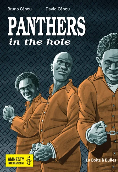 Panthers in the hole: Revenus et financement des agents économiques (2014) - Series 