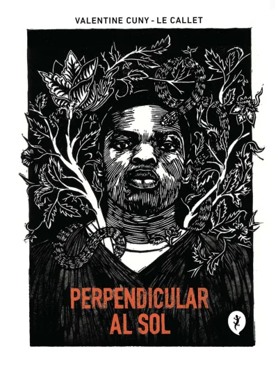 Perpendicular al Sol (2024) - Series 
