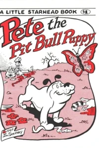 Pete the Pit Bull Puppy