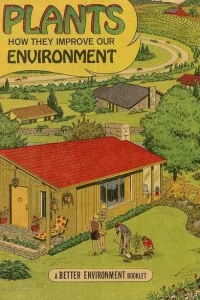 Plants How They Improve the Environment