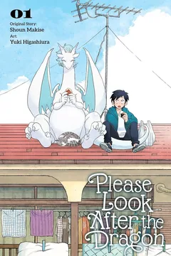 Please Look After the Dragon