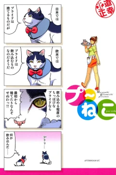 Poo-Neko