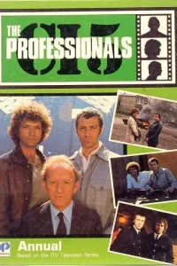 Professionals Annual