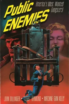 Public Enemies