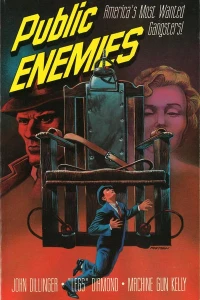 Public Enemies
