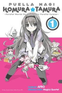 Puella Magi Homura Tamura ~Parallel Worlds Do Not Remain Parallel Forever~