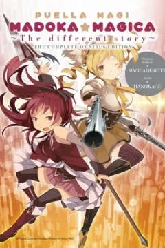 Puella Magi Madoka Magica: The Different Story