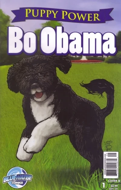 Puppy Power: Bo Obama (2009) - Series 