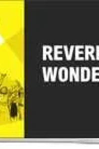 Reverend Wonderful