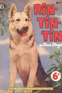 Rin Tin Tin