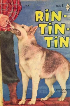 Rin Tin Tin
