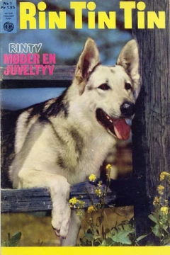 Rin Tin Tin