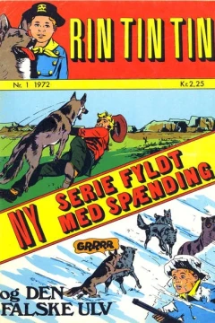 Rin Tin Tin