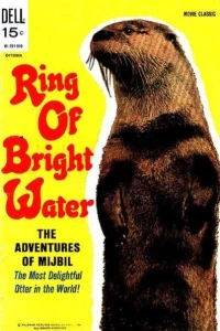 Ring of Bright Water