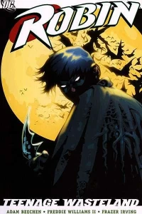 Robin: Teenage Wasteland