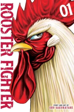 Rooster Fighter