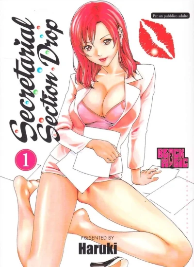 Secretarial Section Drop (2010) - Series 
