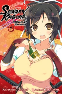 Senran Kagura: Skirting Shadows